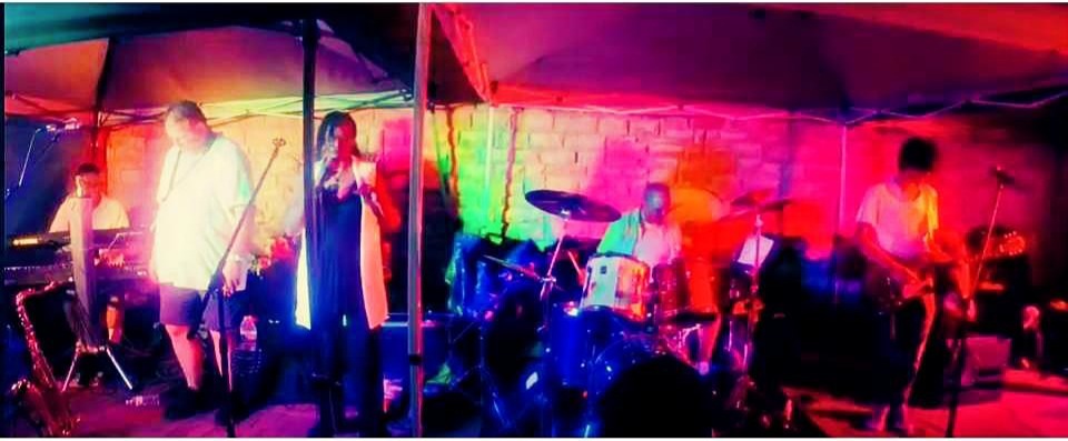 Lively Corporate Event with KC & the Moonlighters